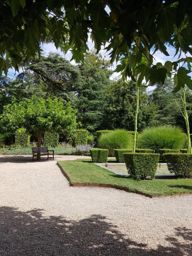 Le Clos De La Deesse La Ferté-Saint-Cyr Екстериор снимка